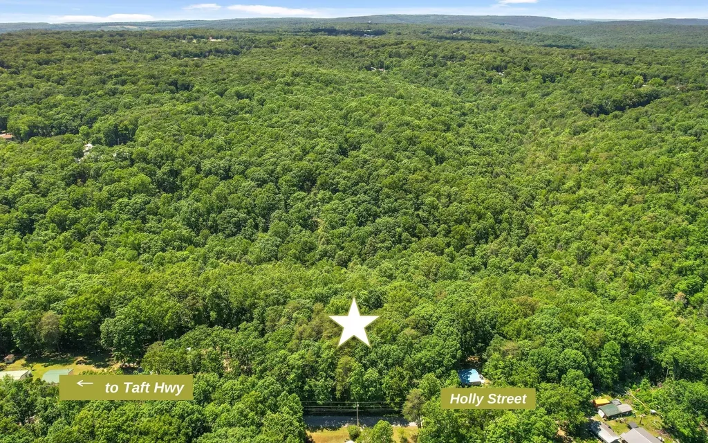 2 Holly Street Signal Mountain TN 37377