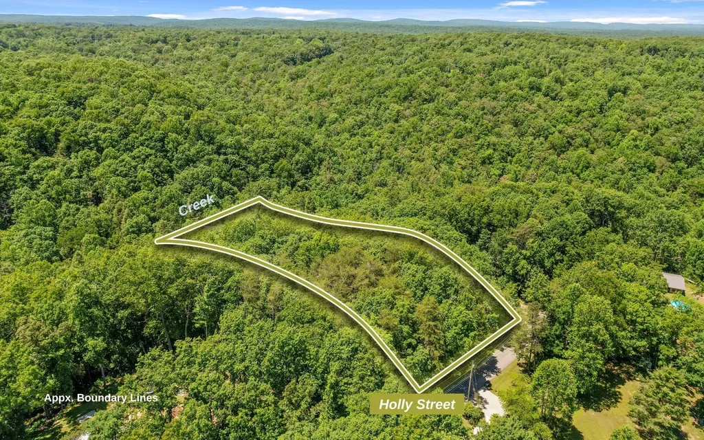 2 Holly Street Signal Mountain TN 37377