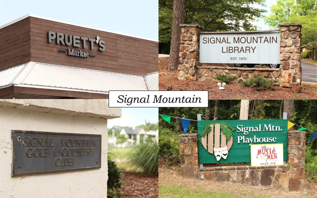 2 Holly Street Signal Mountain TN 37377