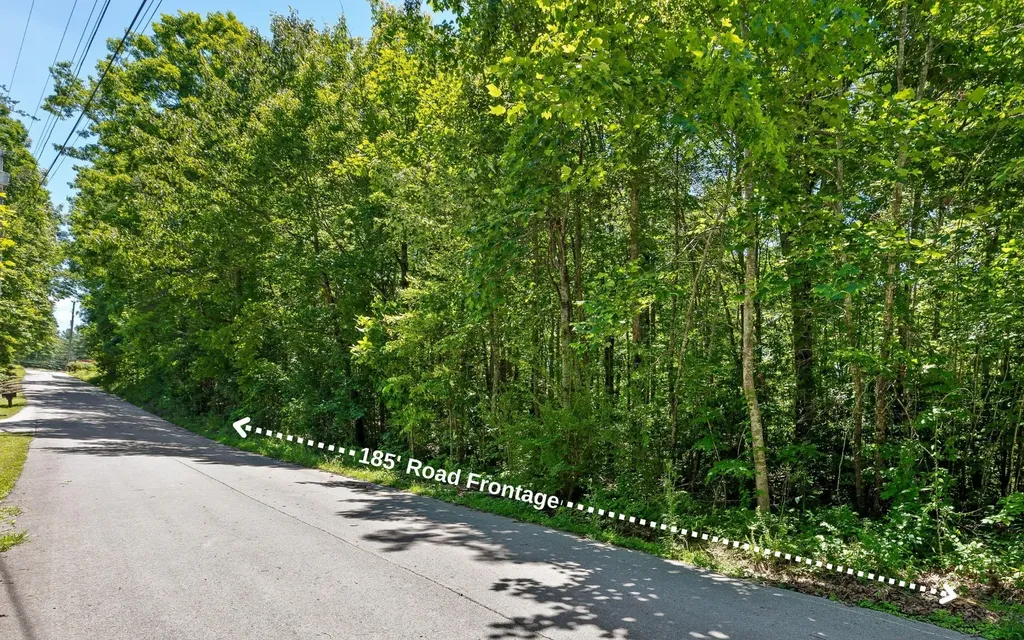 2 Holly Street Signal Mountain TN 37377