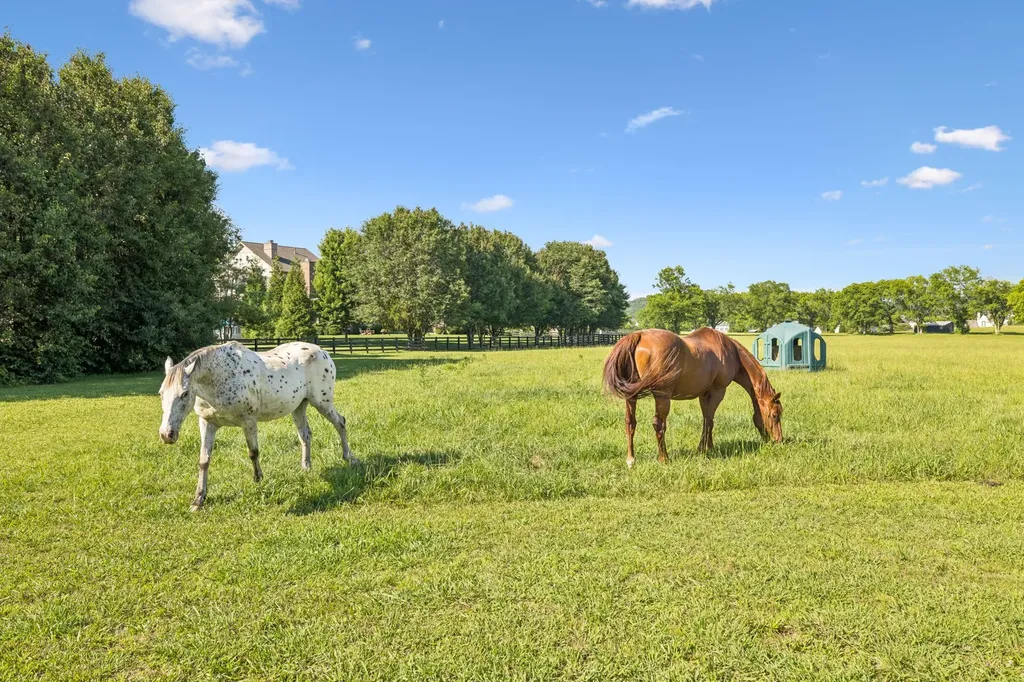 5017 Native Pony Trail College Grove TN 37046