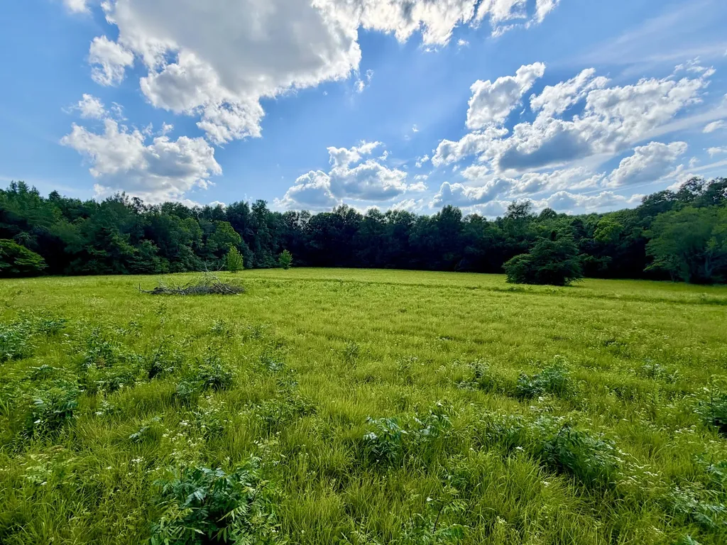 1251 Highway 96, N Fairview TN 37062
