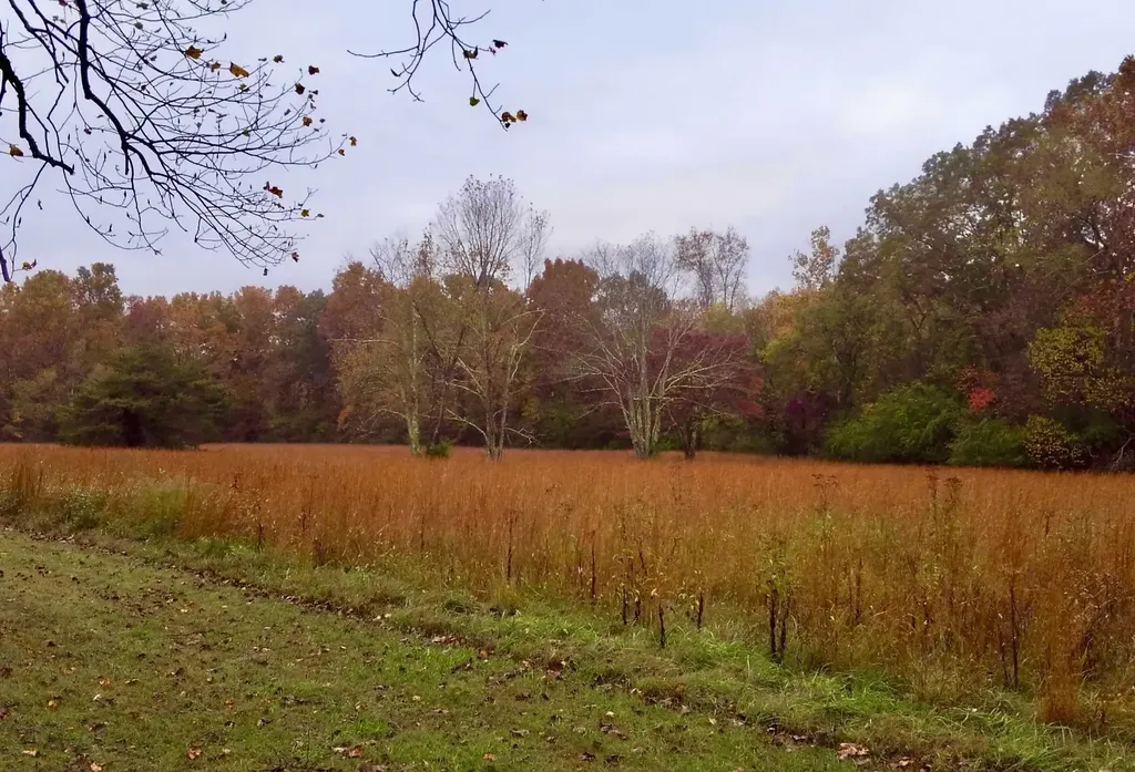 1251 Highway 96, N Fairview TN 37062