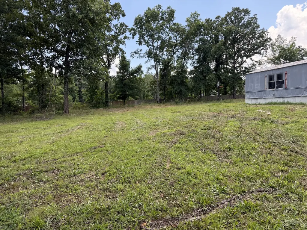 308 Mount View Drive Hohenwald TN 38462