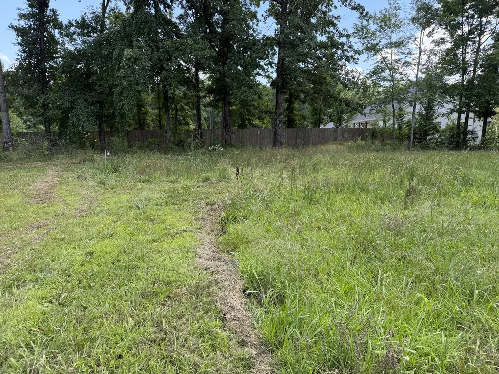 308 Mount View Drive Hohenwald TN 38462
