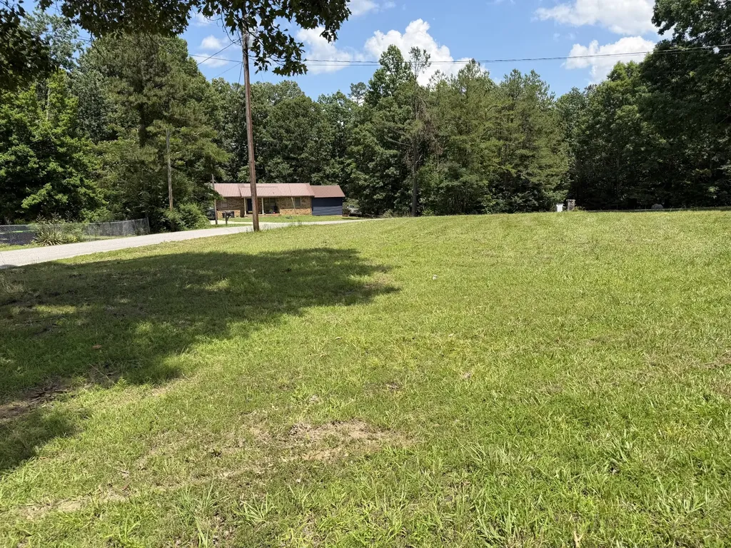 308 Mount View Drive Hohenwald TN 38462