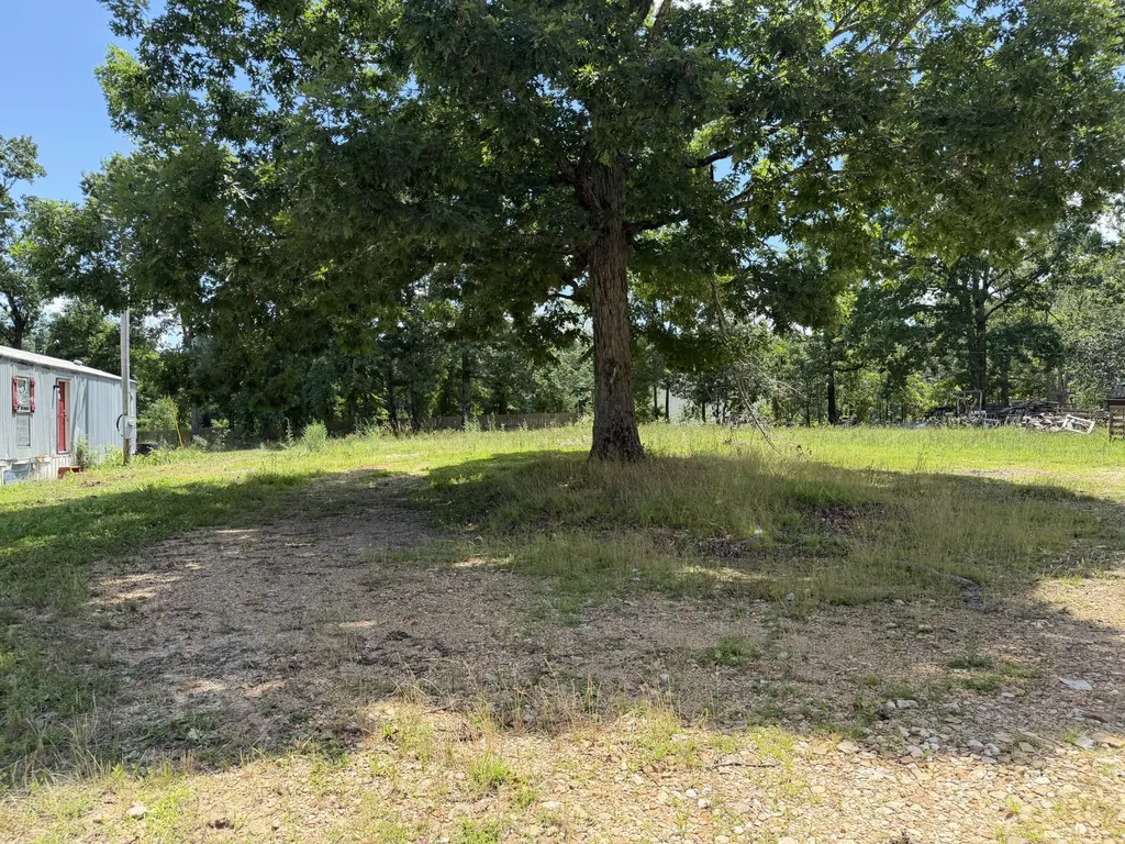 308 Mount View Drive Hohenwald TN 38462