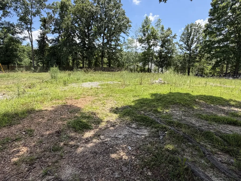 308 Mount View Drive Hohenwald TN 38462