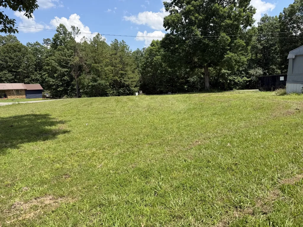 308 Mount View Drive Hohenwald TN 38462