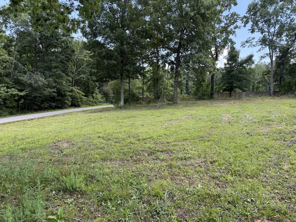 308 Mount View Drive Hohenwald TN 38462