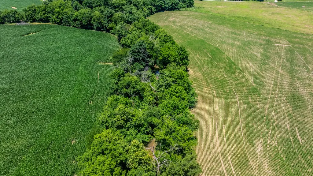 0 B White Road Elkton KY 42220