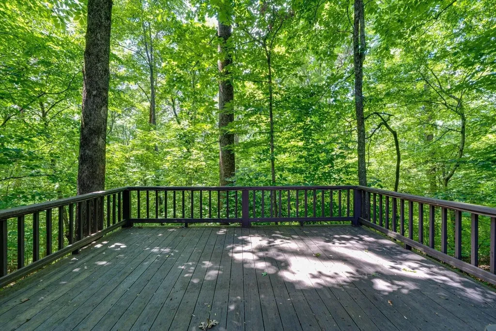134 County Road 25 Riceville TN 37370