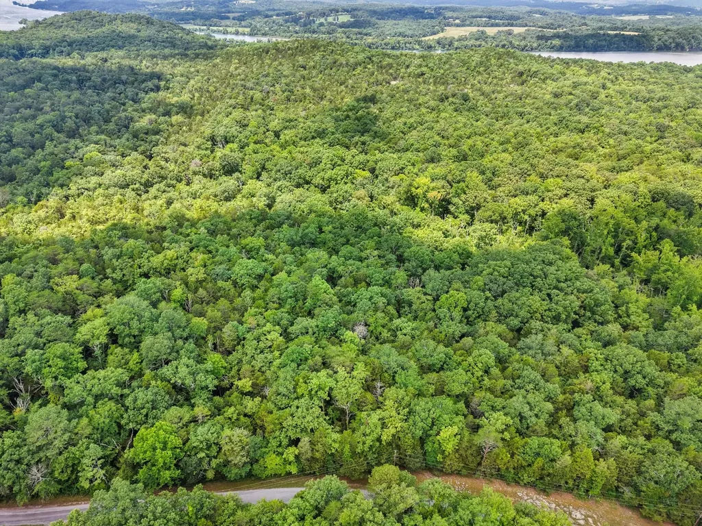 23 Warren Lane Decatur TN 37322