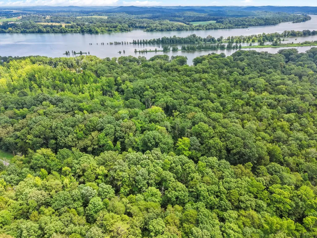 23 Warren Lane Decatur TN 37322