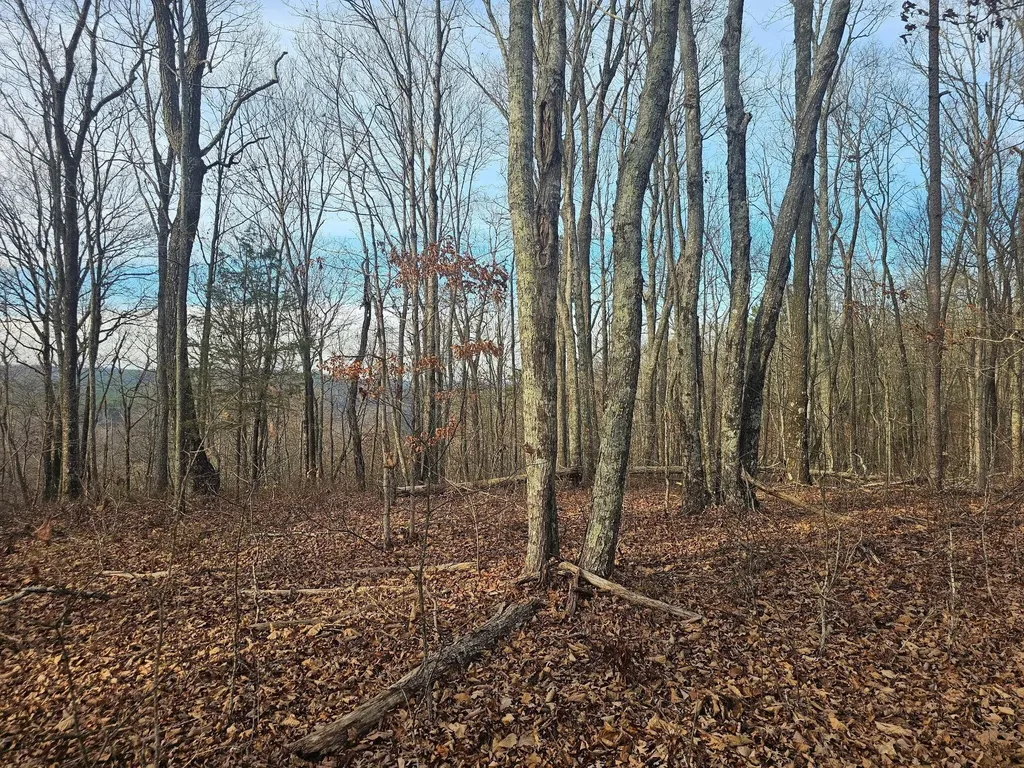 29003 Smith Mountain Dunlap TN 37327