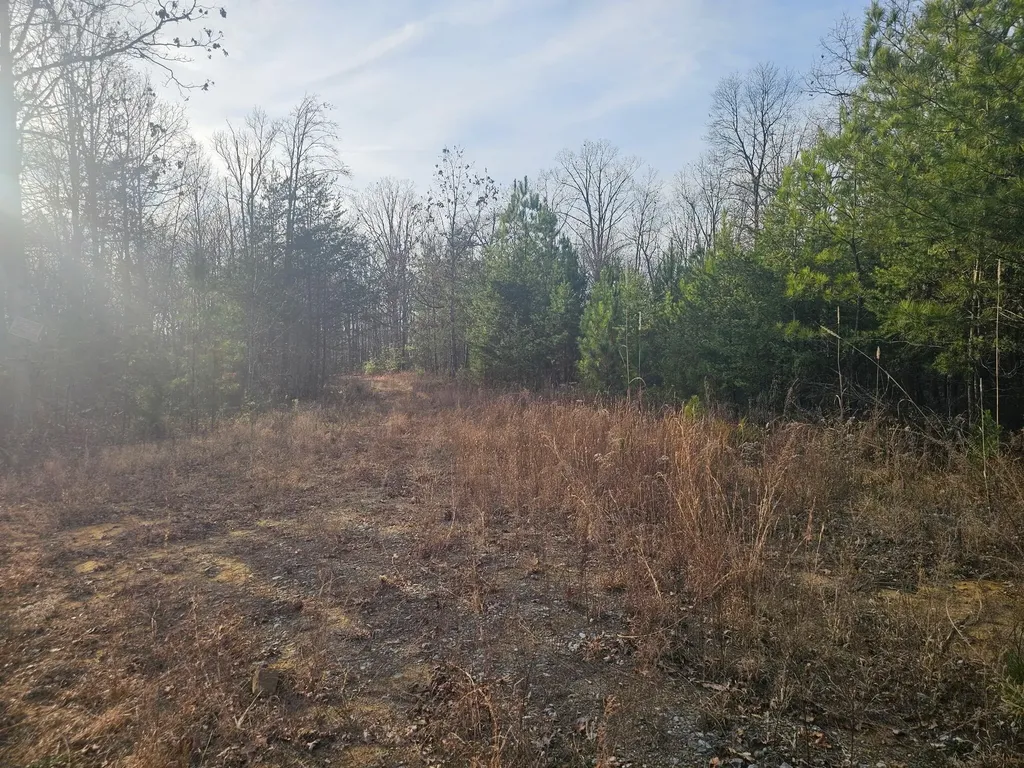 29003 Smith Mountain Dunlap TN 37327