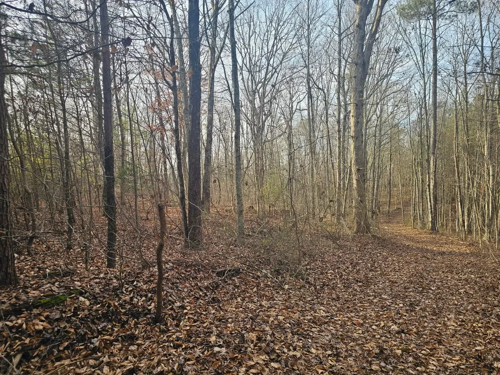 29003 Smith Mountain Dunlap TN 37327