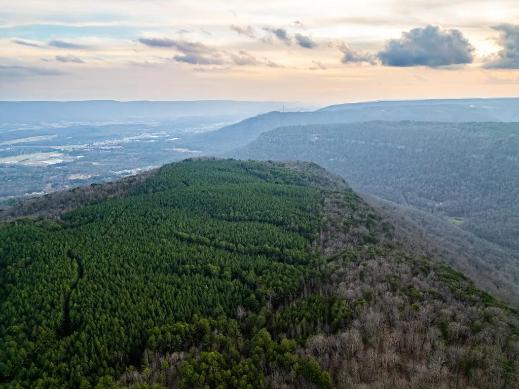 29003 Smith Mountain Dunlap TN 37327