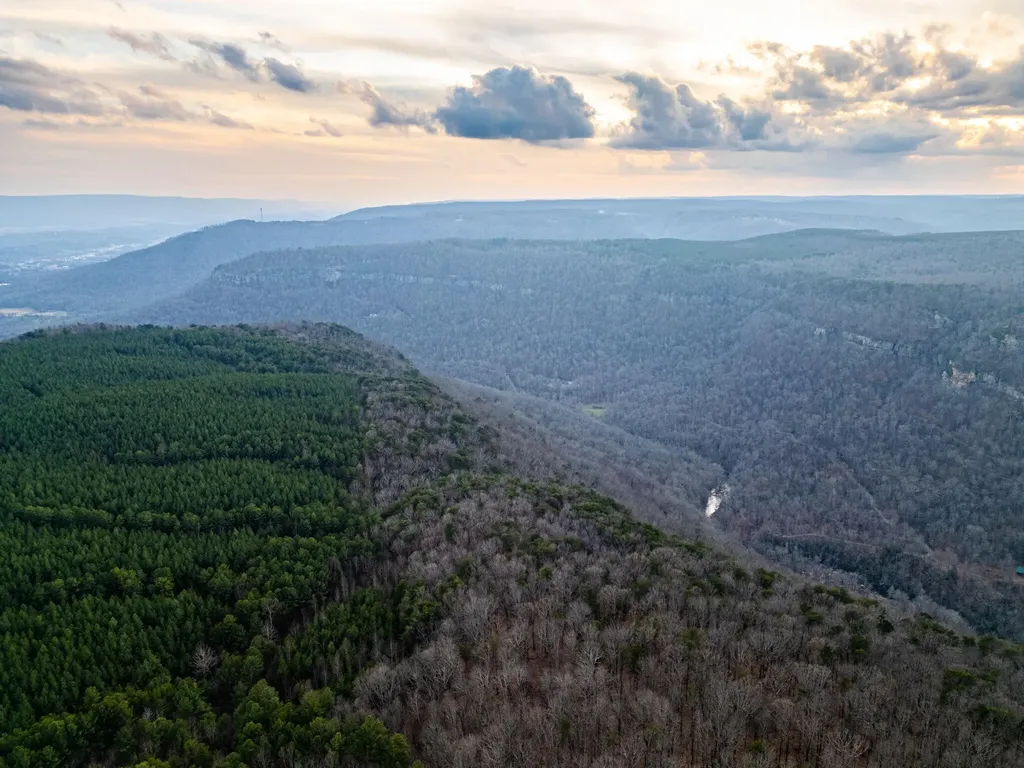 29003 Smith Mountain Dunlap TN 37327