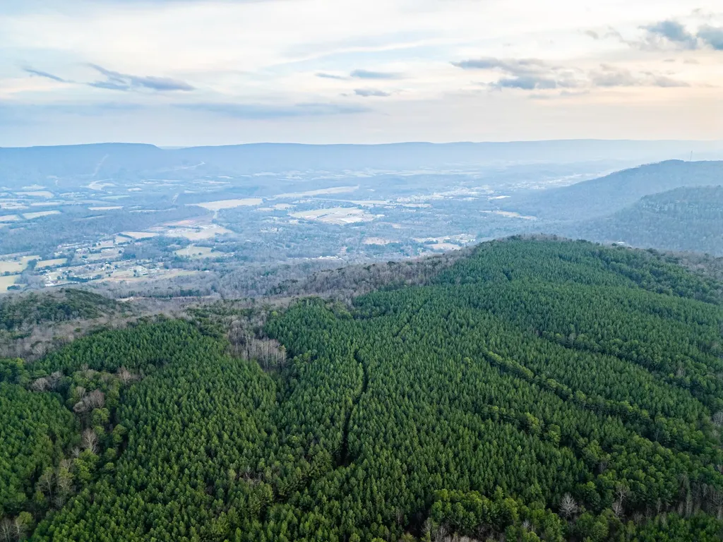 29003 Smith Mountain Dunlap TN 37327