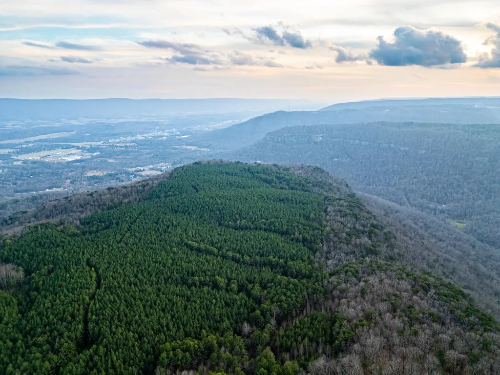 29003 Smith Mountain Dunlap TN 37327