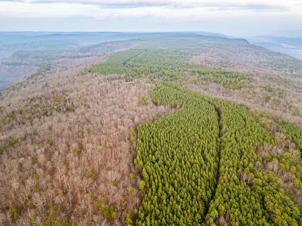 29003 Smith Mountain Dunlap TN 37327