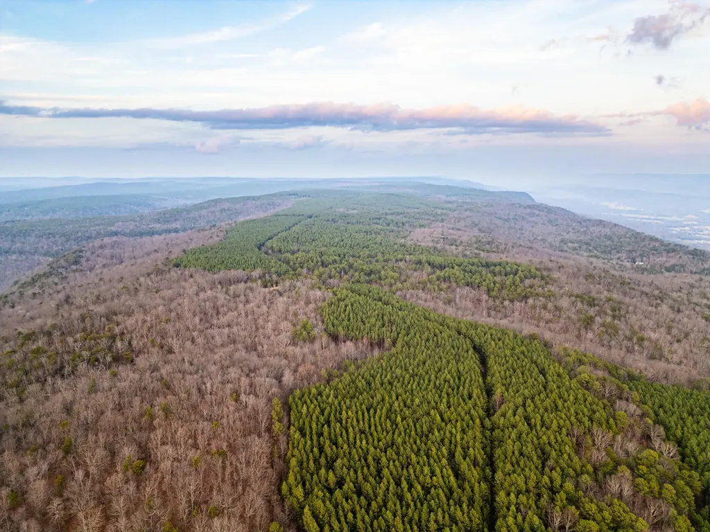 29003 Smith Mountain Dunlap TN 37327