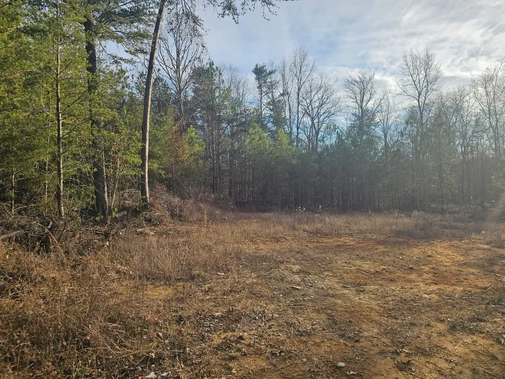29003 Smith Mountain Dunlap TN 37327