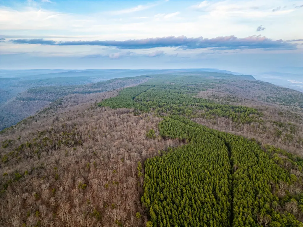 29003 Smith Mountain Dunlap TN 37327