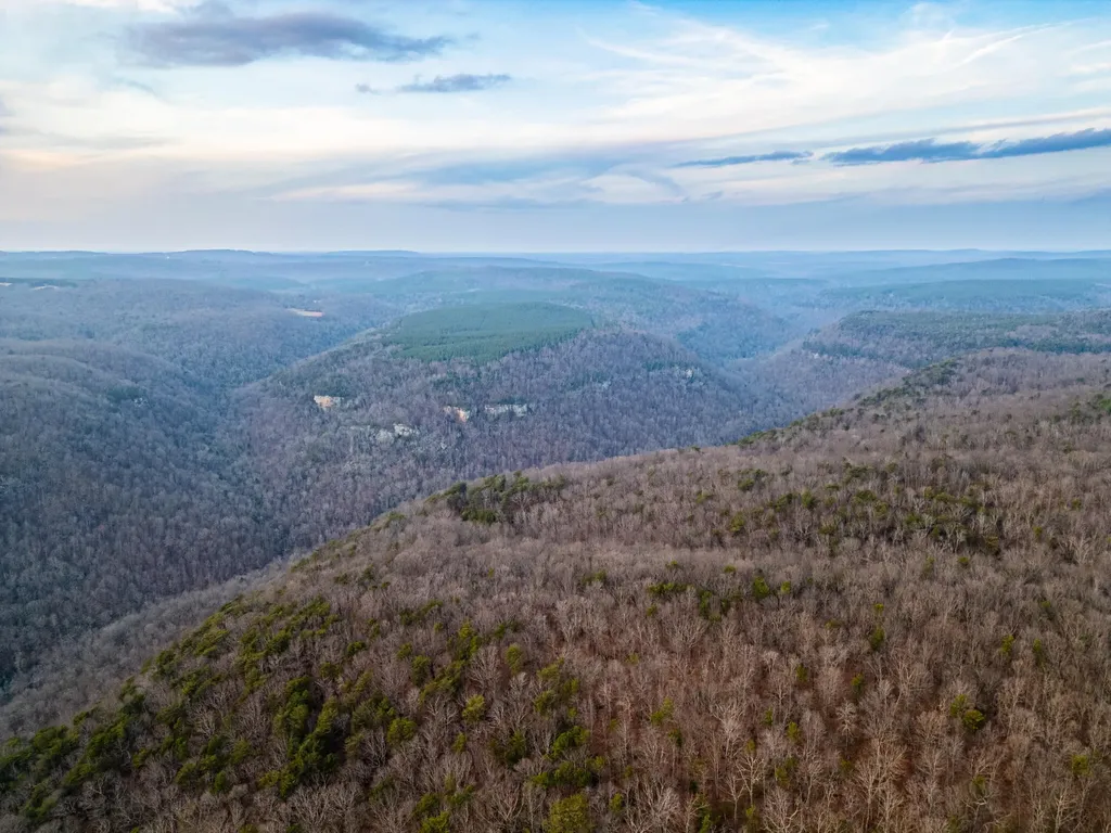 29003 Smith Mountain Dunlap TN 37327