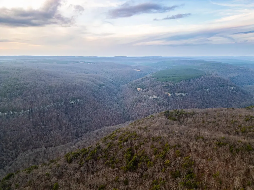 29003 Smith Mountain Dunlap TN 37327