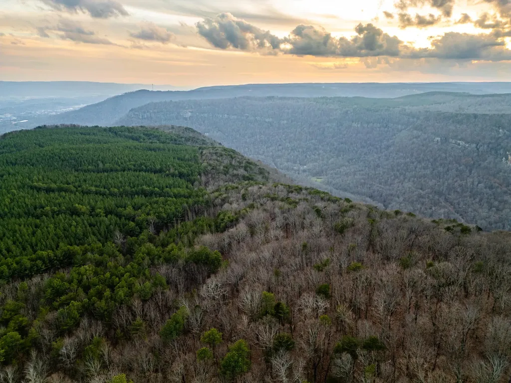 29003 Smith Mountain Dunlap TN 37327