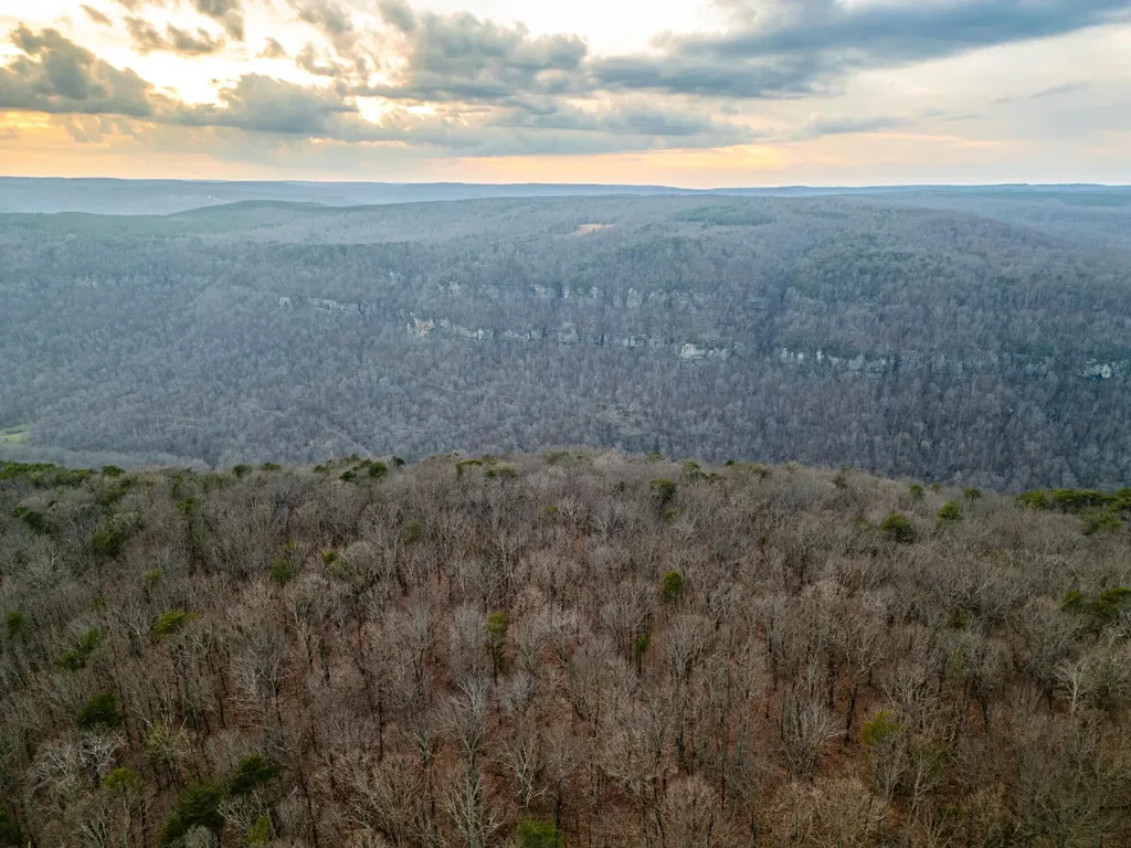 29003 Smith Mountain Dunlap TN 37327