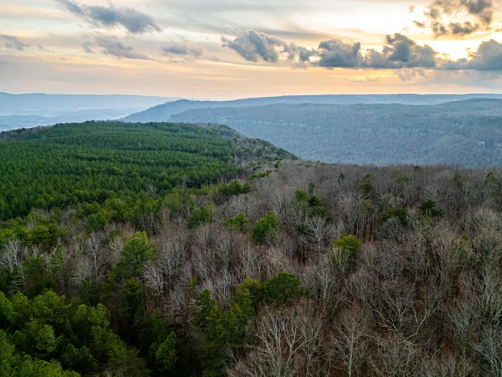 29003 Smith Mountain Dunlap TN 37327