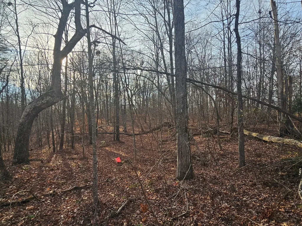 29003 Smith Mountain Dunlap TN 37327