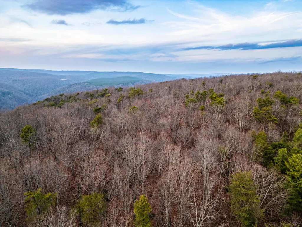 29003 Smith Mountain Dunlap TN 37327