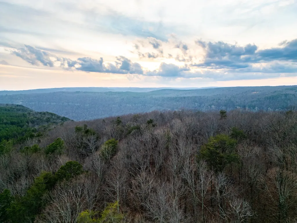 29003 Smith Mountain Dunlap TN 37327
