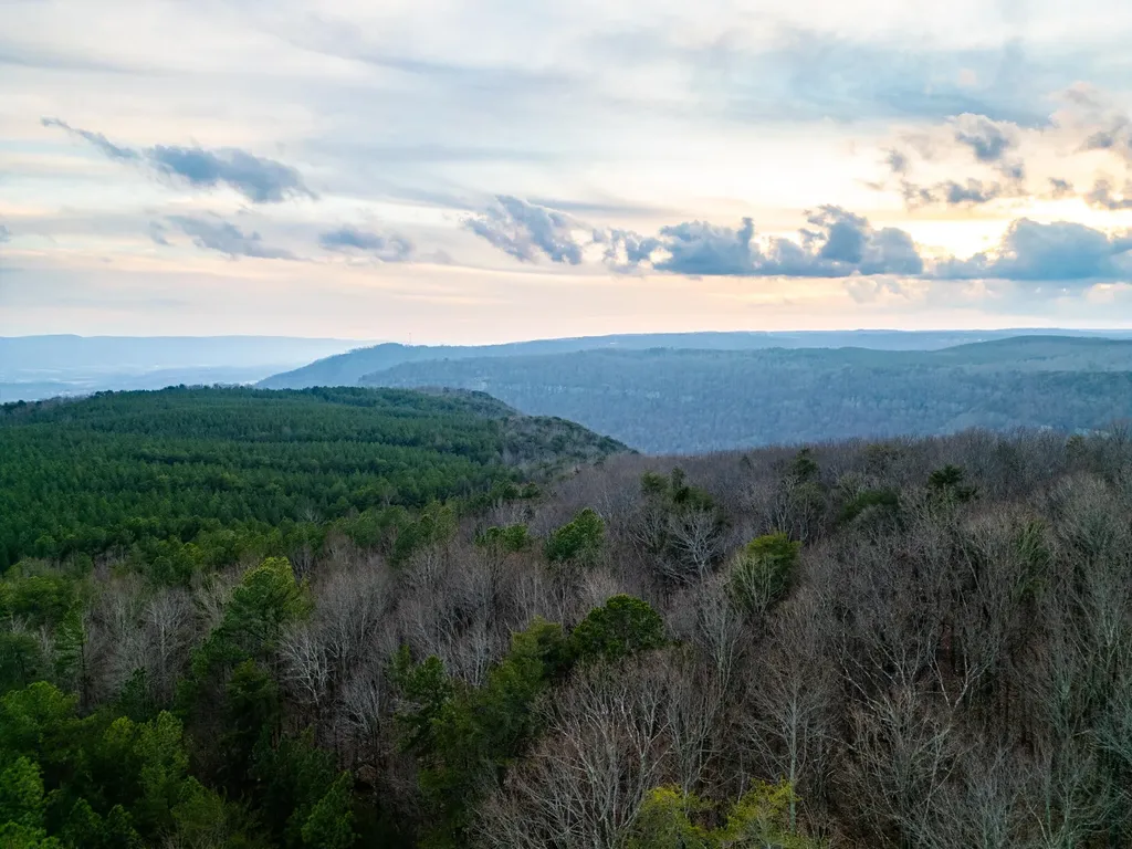 29003 Smith Mountain Dunlap TN 37327
