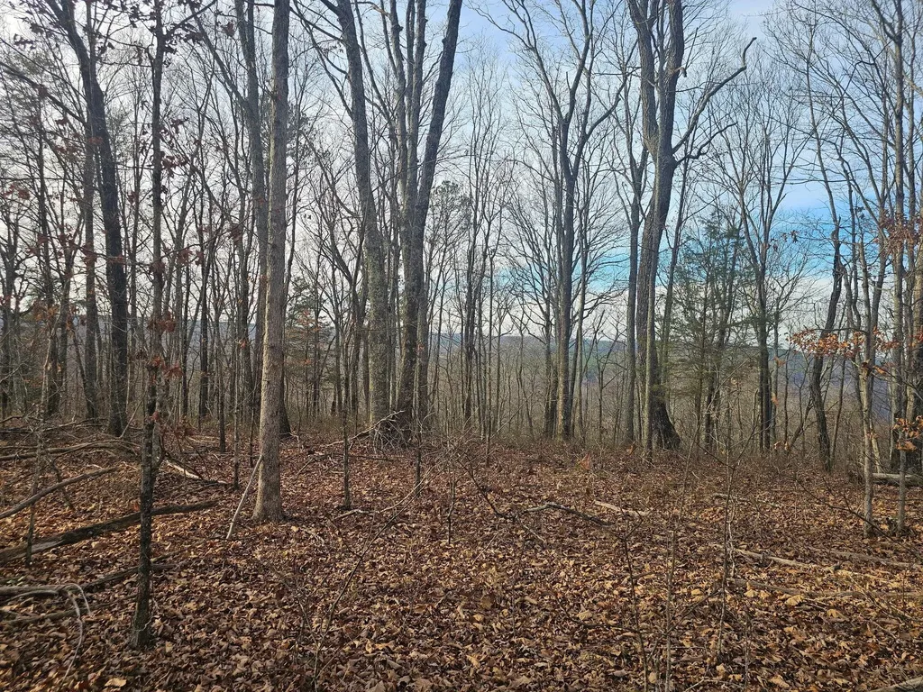 29003 Smith Mountain Dunlap TN 37327