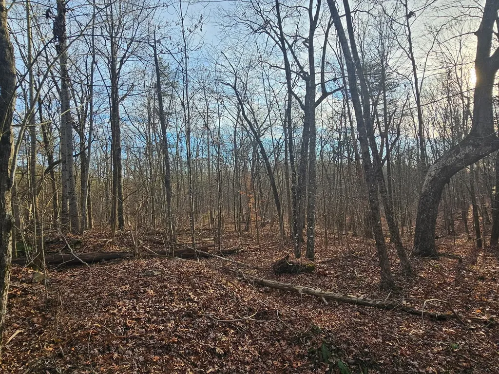 29003 Smith Mountain Dunlap TN 37327