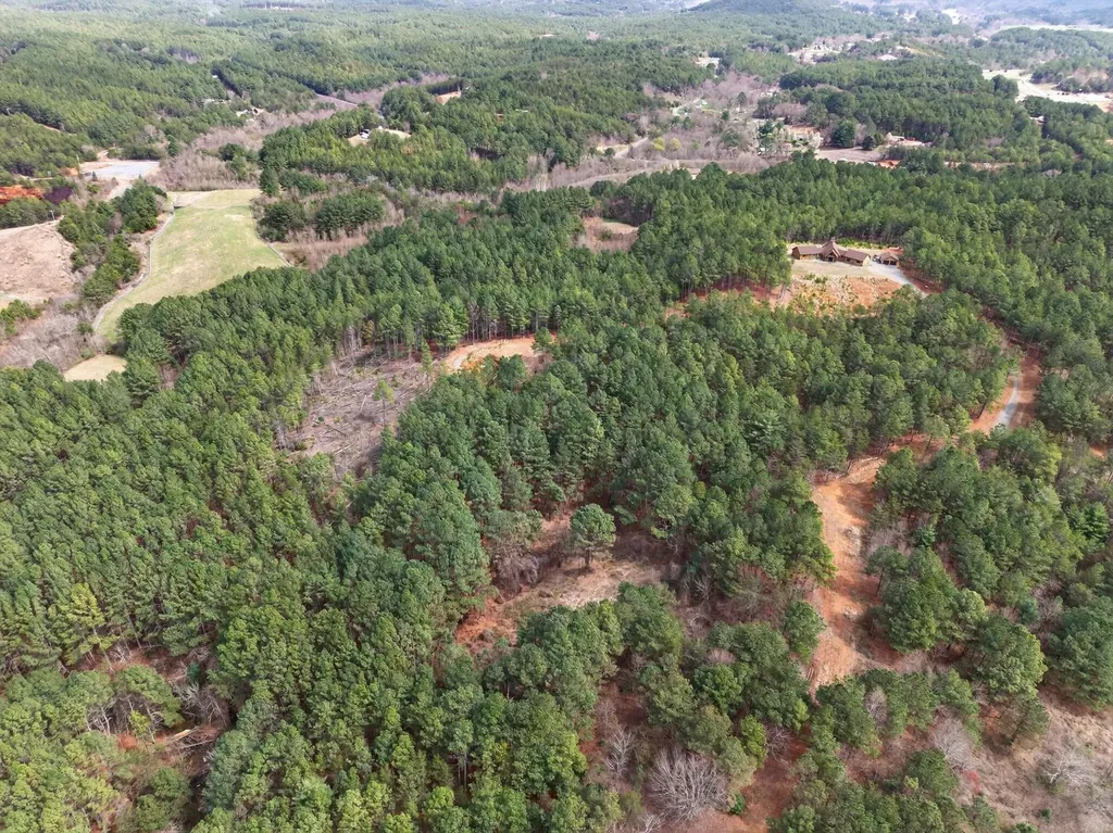 5333 Highway 64, Lot 6 Copperhill TN 37317