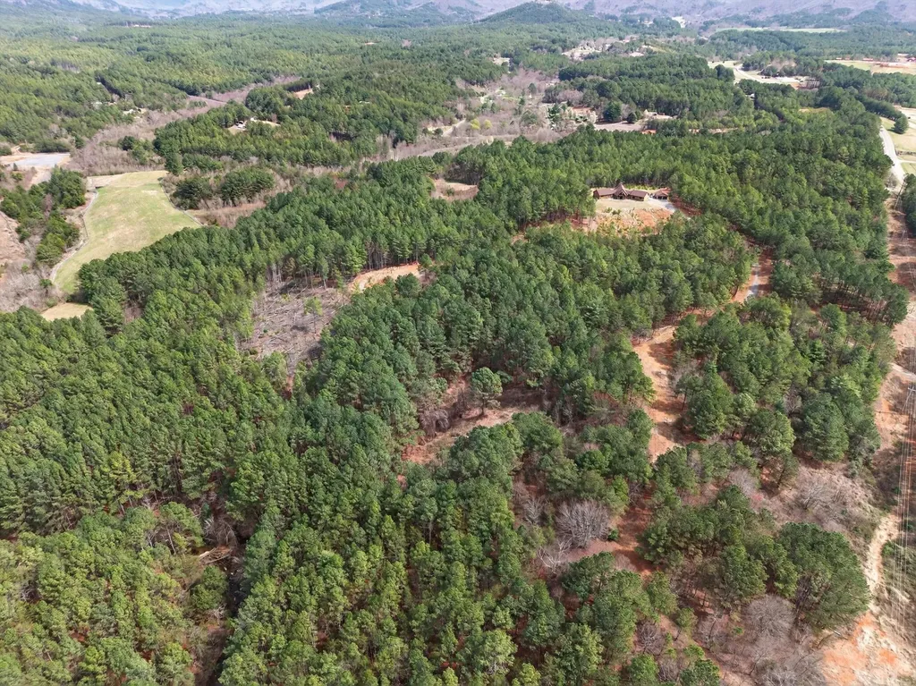 5333 Highway 64, Lot 1 Copperhill TN 37317