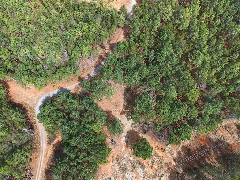 5333 Highway 64, Lot 1 Copperhill TN 37317