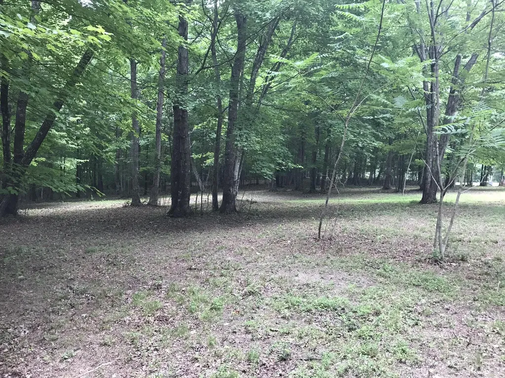 503 Wilderness Way Dunlap TN 37327