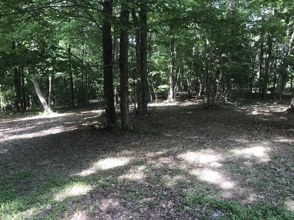 503 Wilderness Way Dunlap TN 37327
