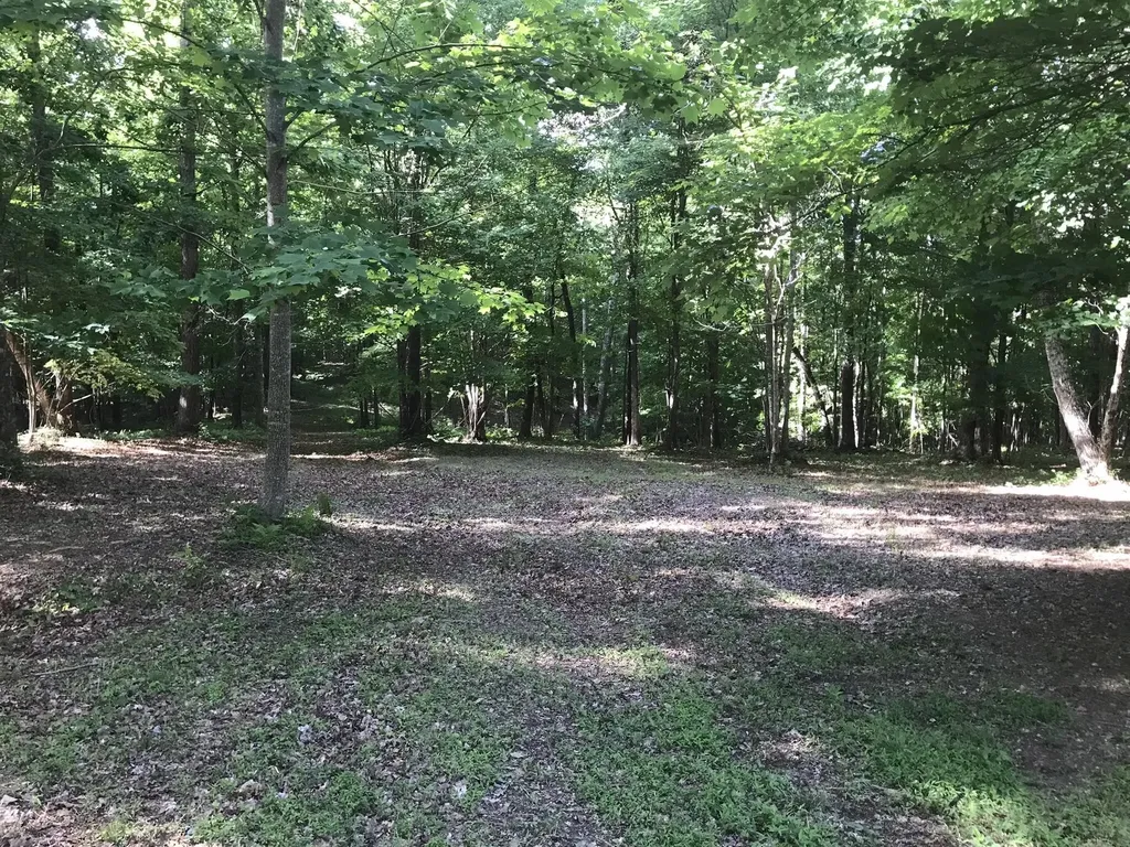503 Wilderness Way Dunlap TN 37327