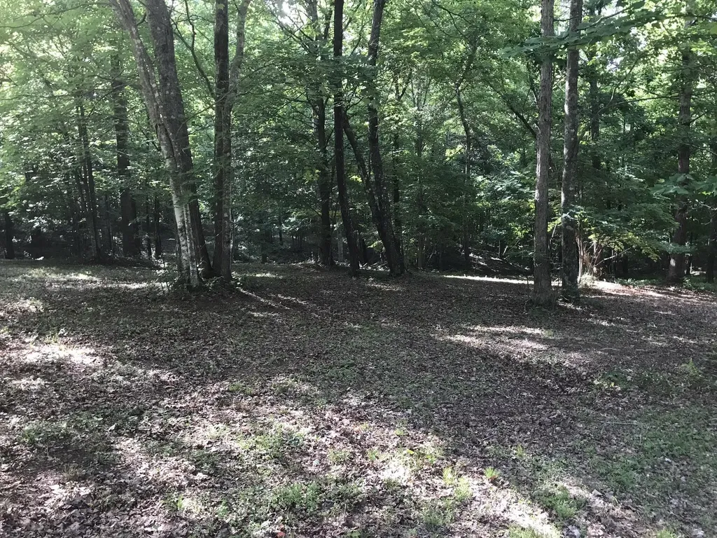 503 Wilderness Way Dunlap TN 37327