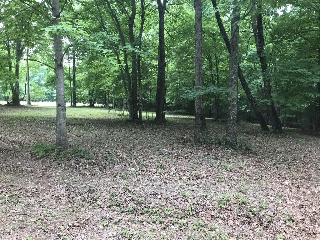 503 Wilderness Way Dunlap TN 37327