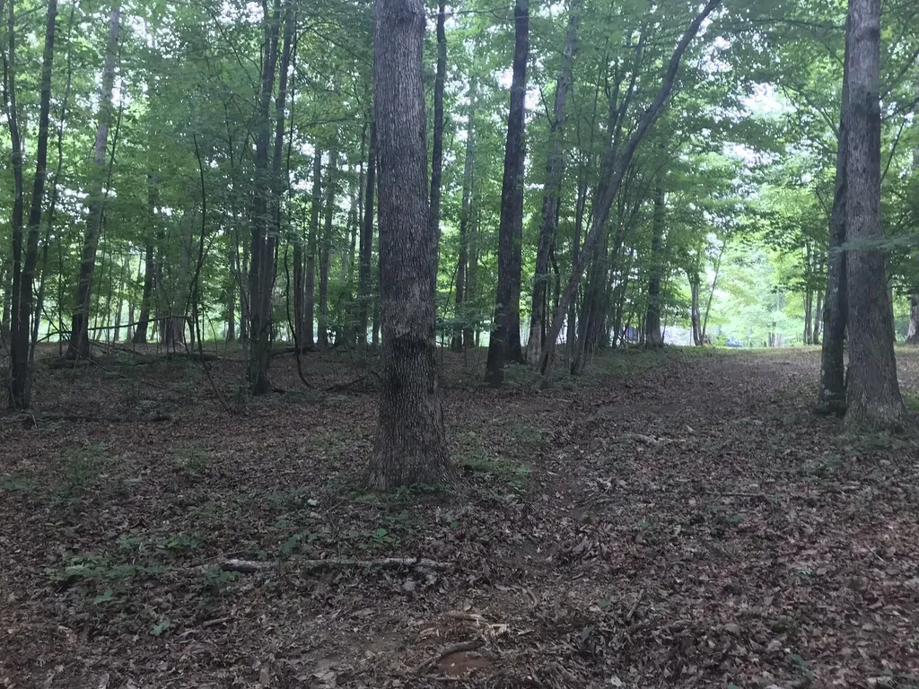 503 Wilderness Way Dunlap TN 37327