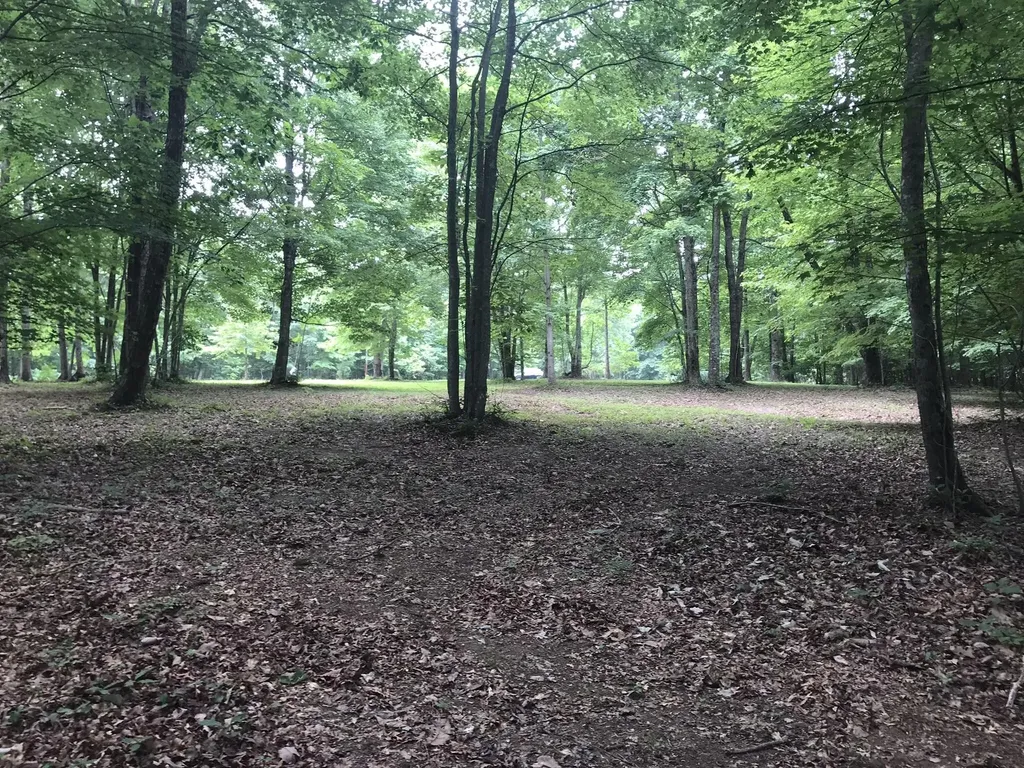 503 Wilderness Way Dunlap TN 37327